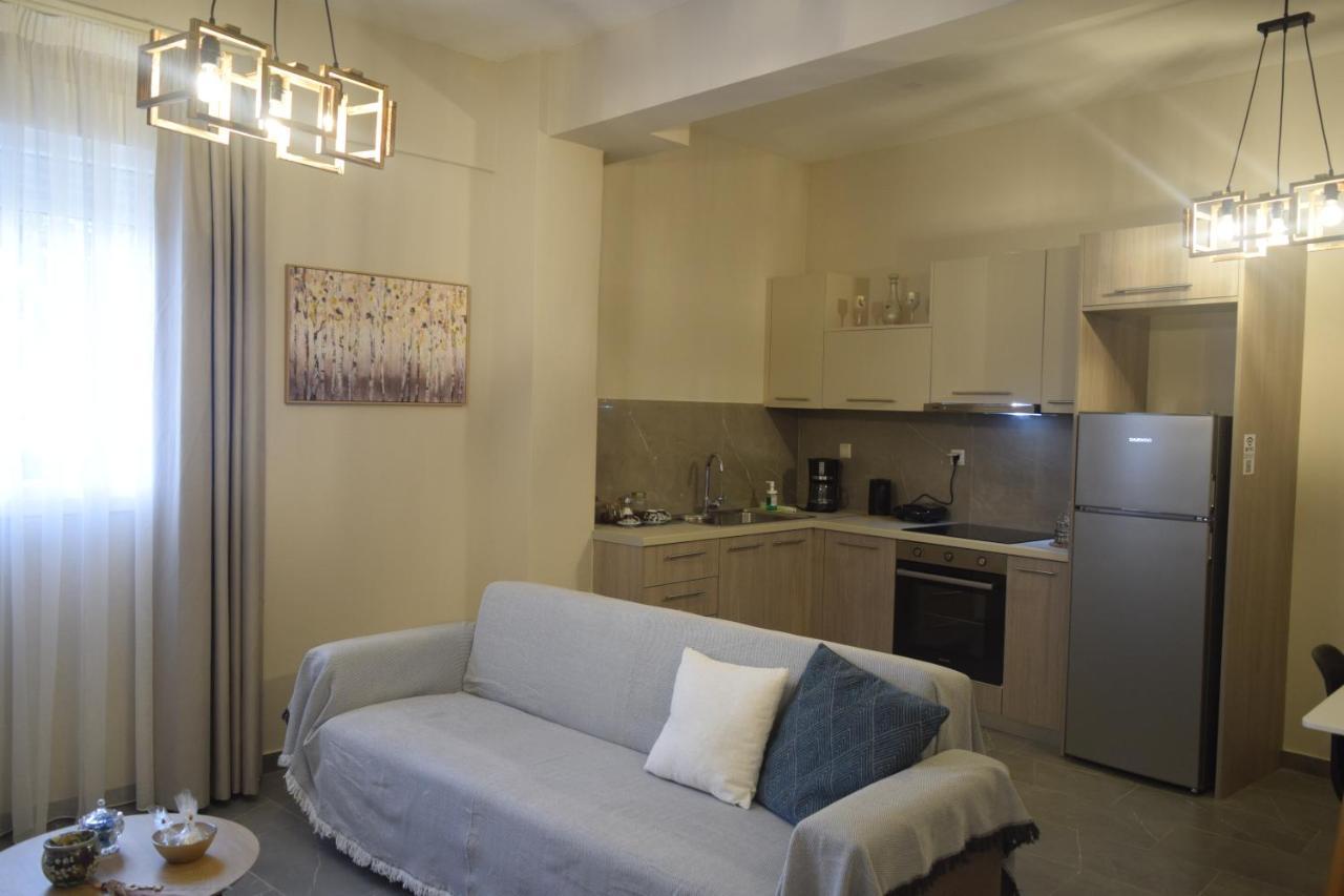 Aristo Central Apartments Ioánnina Exteriér fotografie